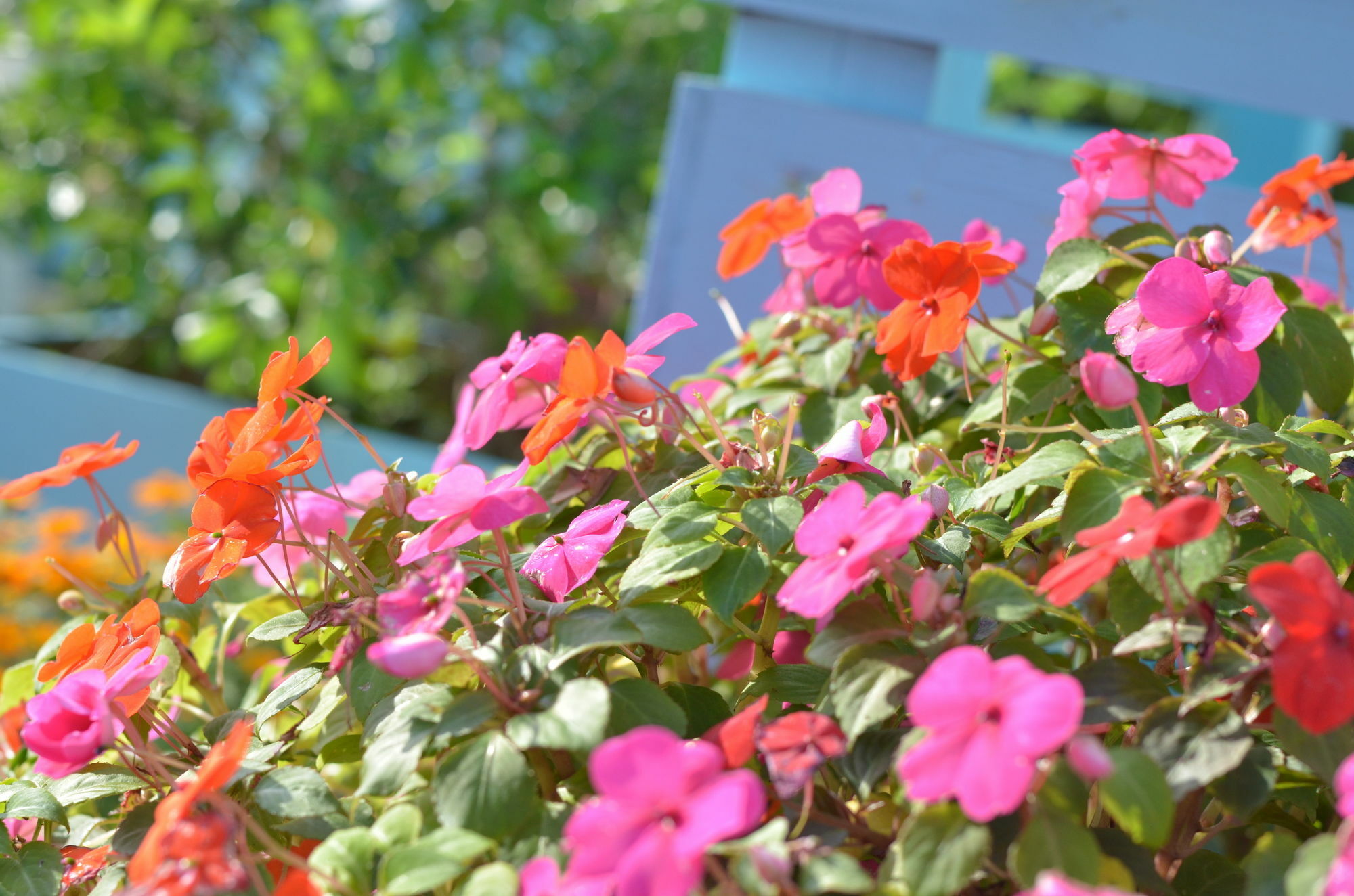 Condominium Ceaser 今帰仁村 エクステリア 写真