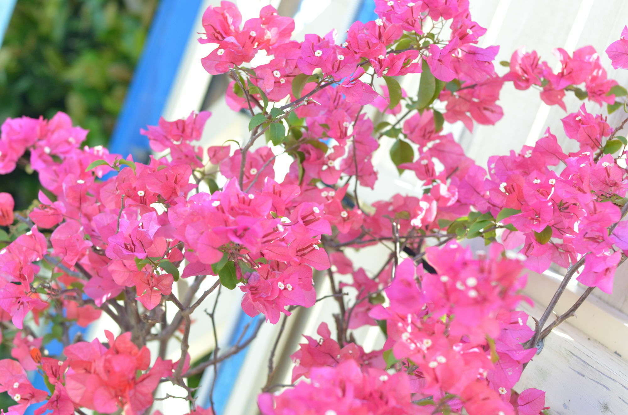 Condominium Ceaser 今帰仁村 エクステリア 写真